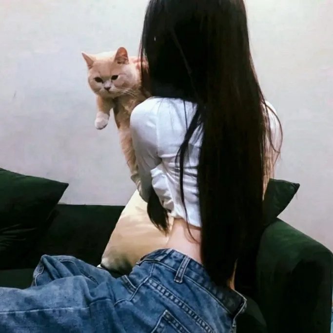 谎话连篇