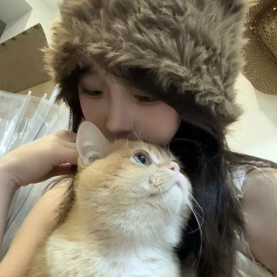 壳